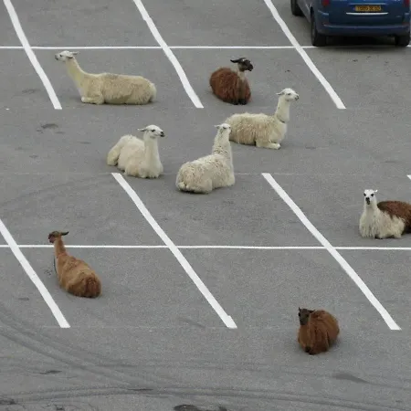 4p, Parking Couvert, A 50m Des Pistes - Fr-1-404-101 *