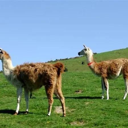 4p, Parking Couvert, A 50m Des Pistes - Fr-1-404-101 * La Mongie